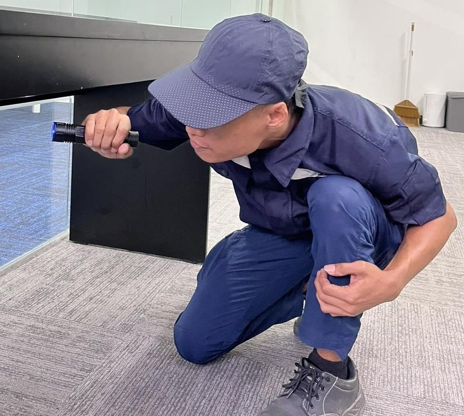 Detection