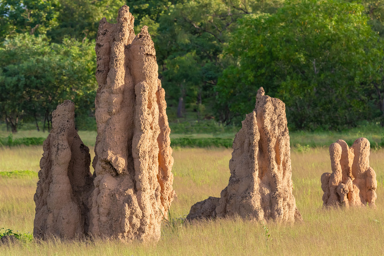 Mound Removal