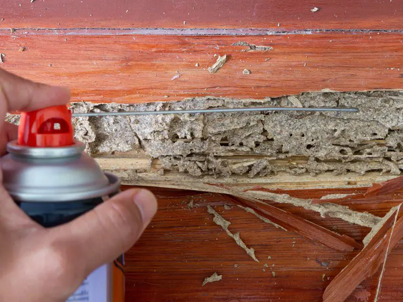 Wood Treatment